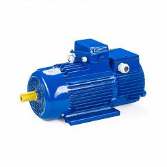Эл.двигатель 5МТН 225 L8 37/750  IM 1003