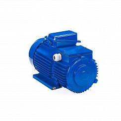 Эл.двигатель 5МТН 225 L8 37/750  IM 1004
