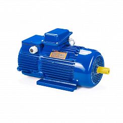 Эл.двигатель 5МТН 225 L8 37/750  IM 1004