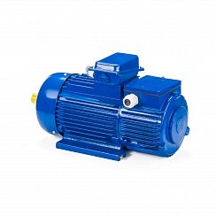 Эл.двигатель 5МТН 225 L8 37/750  IM 1003