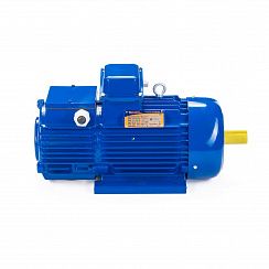 Эл.двигатель 5МТН 225 М6 37/1000  IM 1003