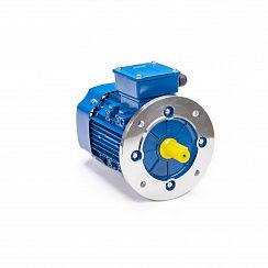 Электродвигатель 5АИ 100 L6 ET2 2,2/1000 IM2081