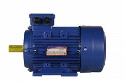 Электродвигатель 5АИ 100 L4 ED 4/1500 IM1081