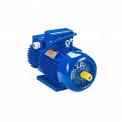 Эл.двигатель 5МТН 225 L6 55/1000  IM 1003