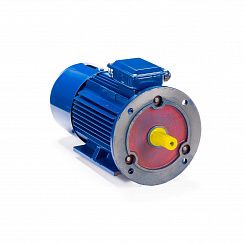 Электродвигатель 5АИ 100 L8 ET 1,5/750 IM2081