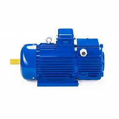 Эл.двигатель 5МТН 225 L8 37/750  IM 1003