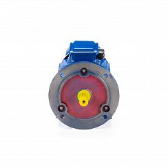 Электродвигатель 5АИ 100 L8 ET 1,5/750 IM2081